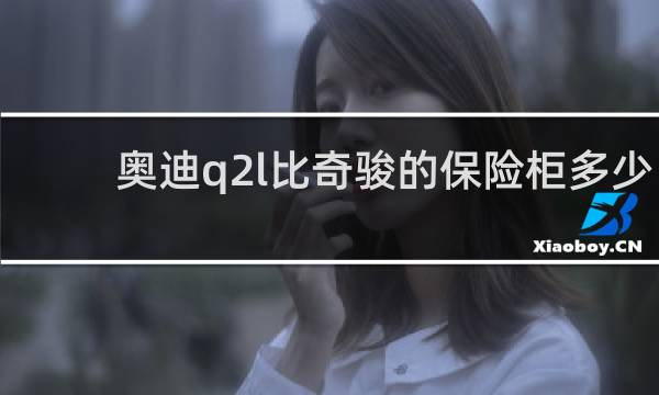 奥迪q2l比奇骏的保险柜多少