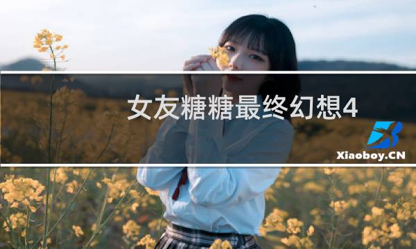 女友糖糖最终幻想4
