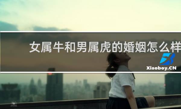 女属牛和男属虎的婚姻怎么样