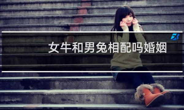 女牛和男兔相配吗婚姻