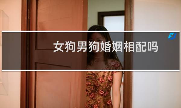 女狗男狗婚姻相配吗
