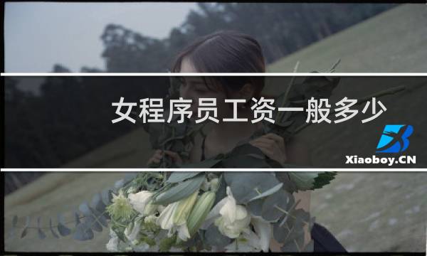 女程序员工资一般多少