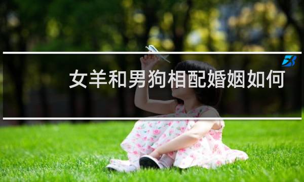 女羊和男狗相配婚姻如何