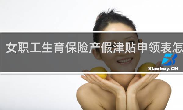 女职工生育保险产假津贴申领表怎么填