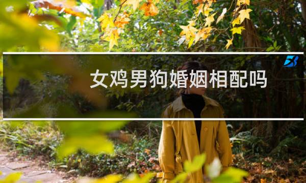 女鸡男狗婚姻相配吗