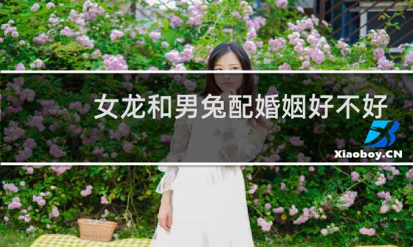 女龙和男兔配婚姻好不好