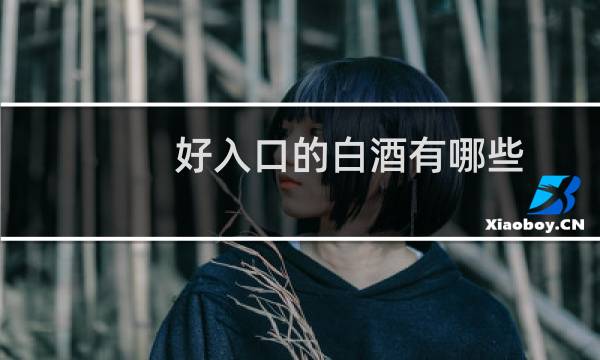 好入口的白酒有哪些