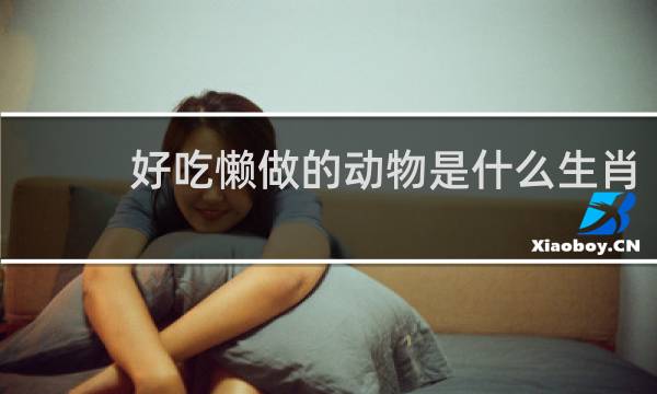 好吃懒做的动物是什么生肖