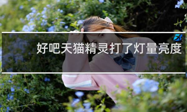 好吧天猫精灵打了灯量亮度