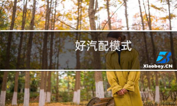 好汽配模式
