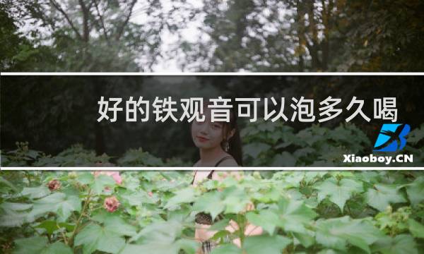 好的铁观音可以泡多久喝
