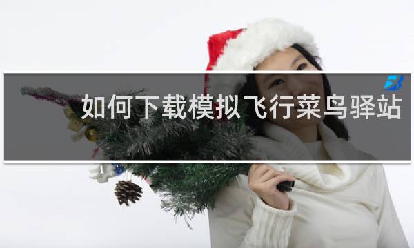 如何下载模拟飞行菜鸟驿站