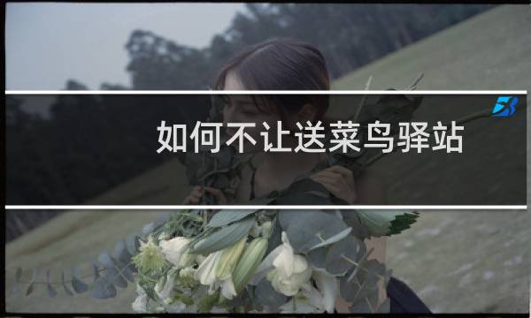 如何不让送菜鸟驿站