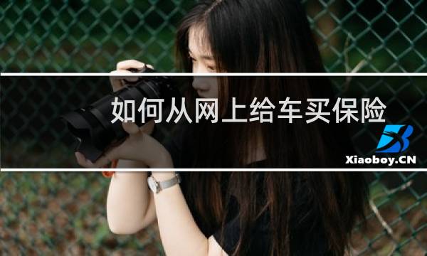 如何从网上给车买保险