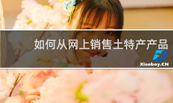 如何从网上销售土特产产品
