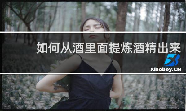 如何从酒里面提炼酒精出来