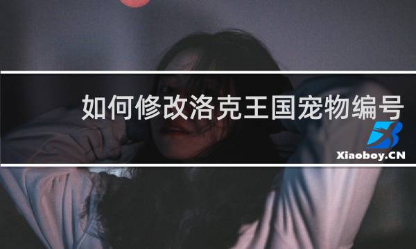 如何修改洛克王国宠物编号