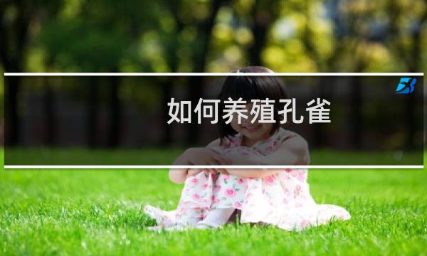 如何养殖孔雀