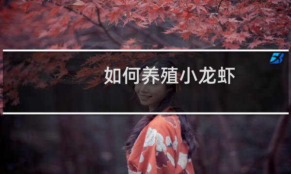 如何养殖小龙虾