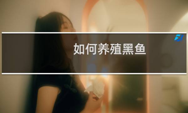 如何养殖黑鱼