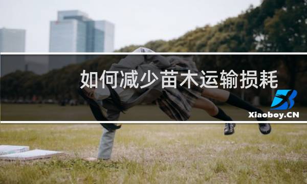 如何减少苗木运输损耗