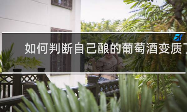 如何判断自己酿的葡萄酒变质了
