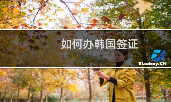 如何办韩国签证