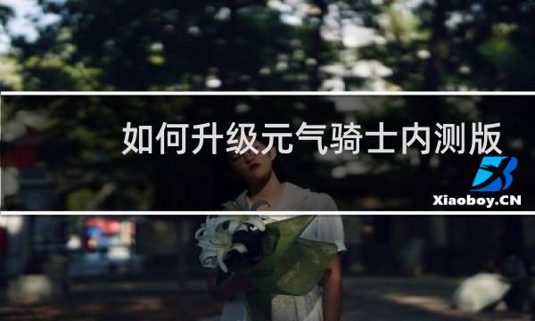 如何升级元气骑士内测版