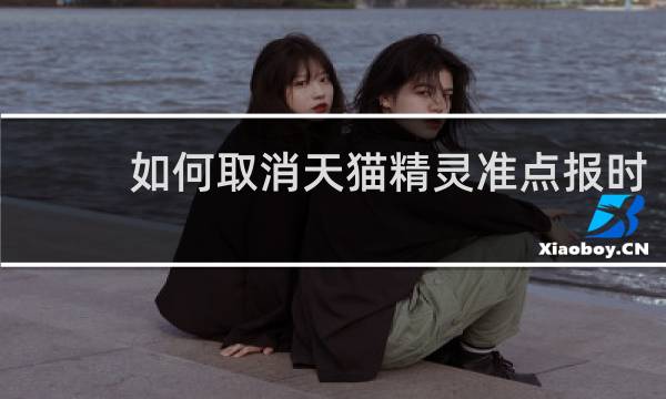 如何取消天猫精灵准点报时