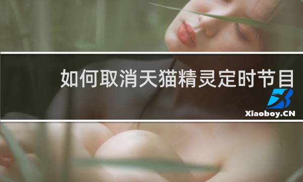 如何取消天猫精灵定时节目
