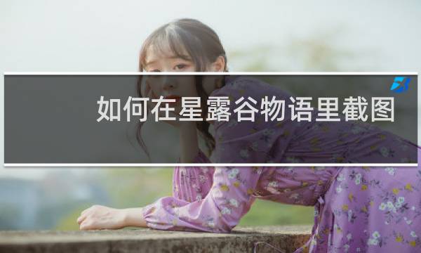 如何在星露谷物语里截图