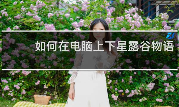 如何在电脑上下星露谷物语