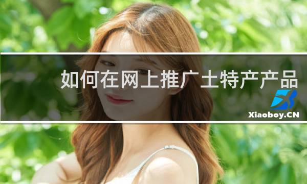 如何在网上推广土特产产品