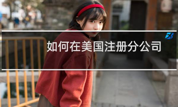 如何在美国注册分公司