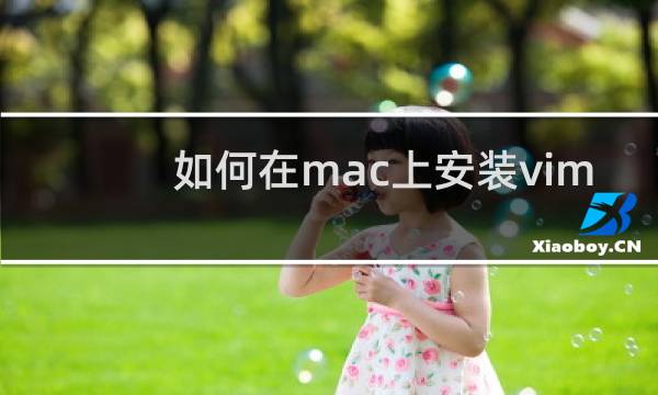 如何在mac上安装vim