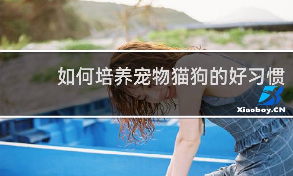 如何培养宠物猫狗的好习惯
