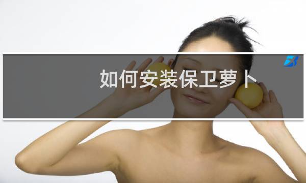 如何安装保卫萝卜