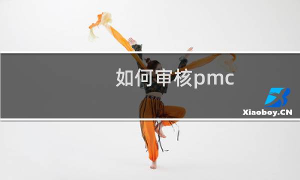 如何审核pmc