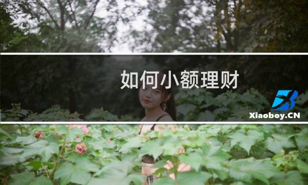 如何小额理财