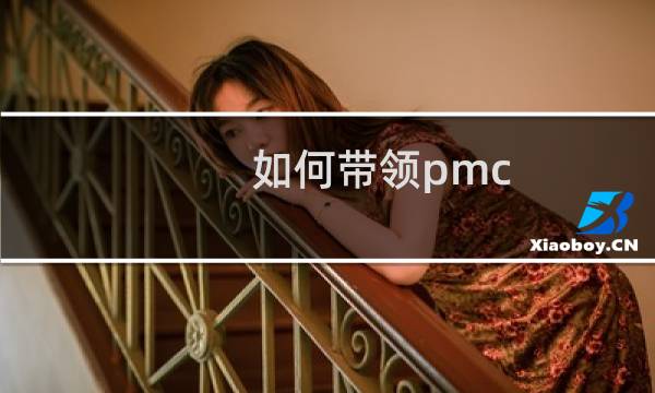 如何带领pmc