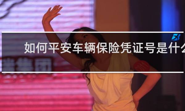 如何平安车辆保险凭证号是什么
