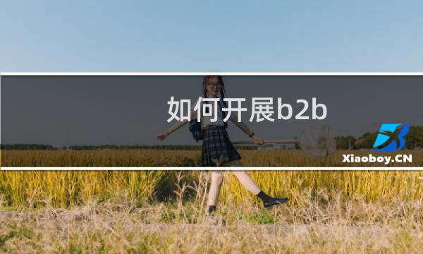 如何开展b2b