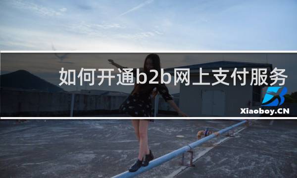 如何开通b2b网上支付服务