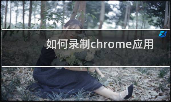 如何录制chrome应用