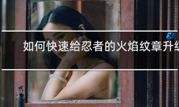 如何快速给忍者的火焰纹章升级