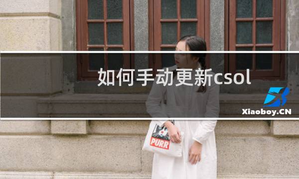 如何手动更新csol