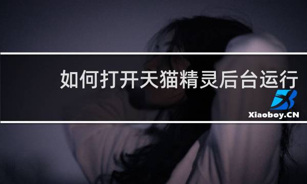 如何打开天猫精灵后台运行