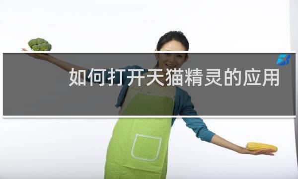 如何打开天猫精灵的应用