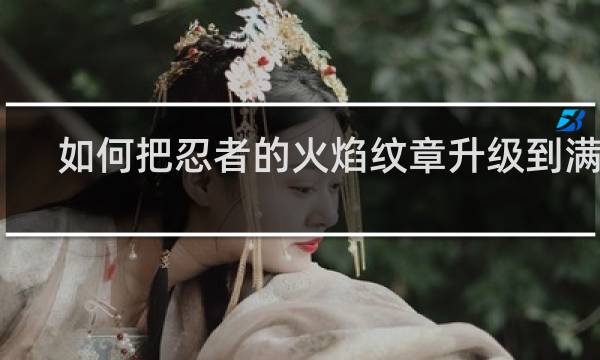 如何把忍者的火焰纹章升级到满级