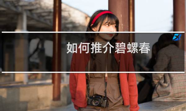 如何推介碧螺春